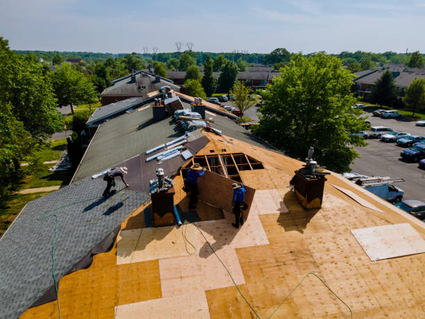 Best Roof Gutter Cleaning  in Long Branch, VA