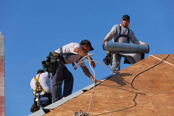 Quick and Trustworthy Emergency Roof Repair Services in Long Branch, VA