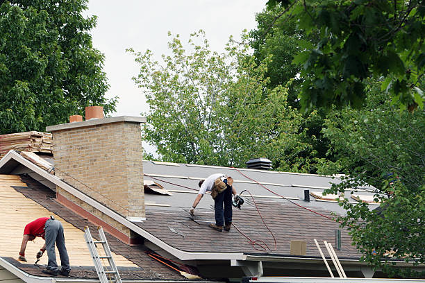 Best Roof Restoration Services  in Long Branch, VA