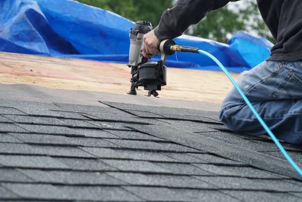 Best Affordable Roof Replacement  in Long Branch, VA